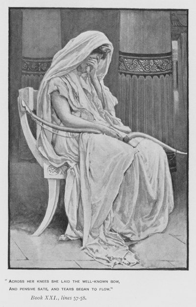Illustrazione per l