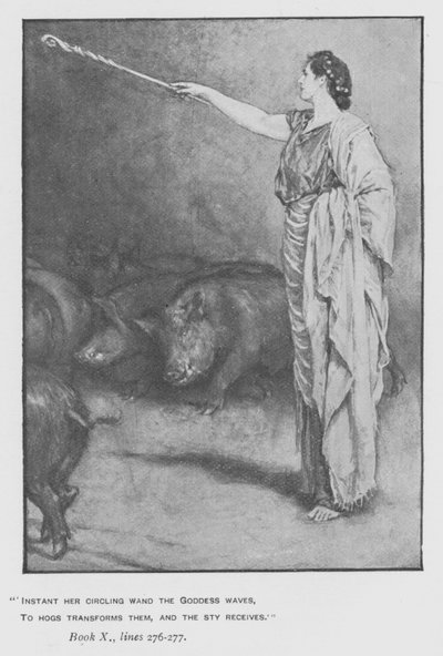 Illustrazione per l