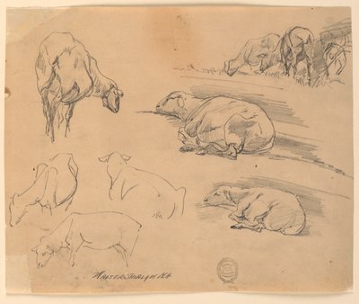 Schizzi di pecore da Walter Shirlaw