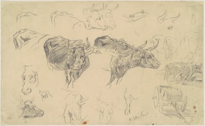 Studi di buoi da Walter Shirlaw