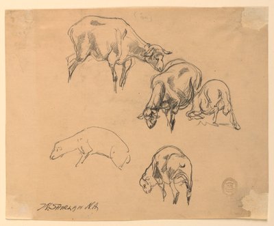 Studi di pecore da Walter Shirlaw