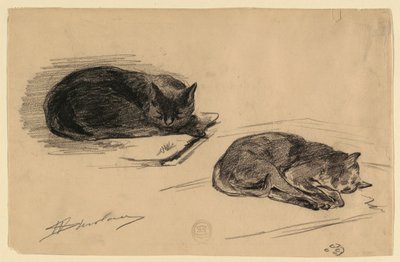 Studio di Gatti da Walter Shirlaw
