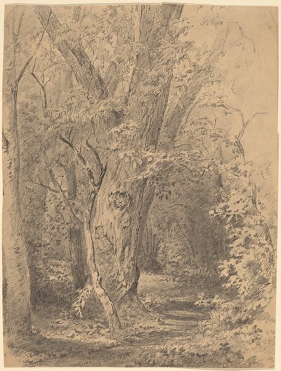 Albero e Foliage da Walter Shirlaw