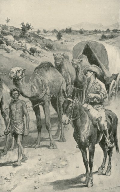 Una carovana di cammelli, Australia occidentale da Walter Stanley Paget