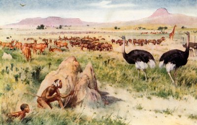 Una pianura sudafricana: prima dell
