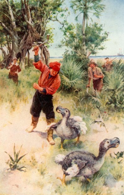 Marinai olandesi che inseguono i dodo (litografia a colori) da Walter Stanley Paget