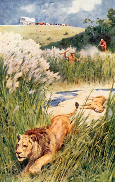 I Boeri del partito affrontarono audacemente un leone e una leonessa da Walter Stanley Paget
