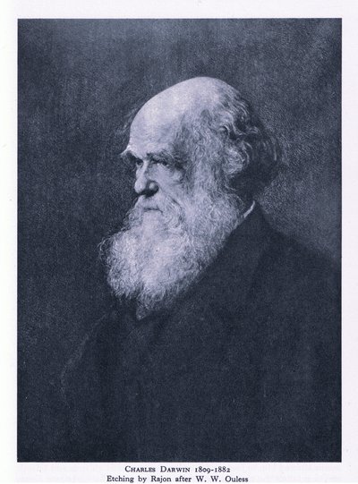 Incisione di Charles Darwin, Nature in Britain pubblicato da Collins da Walter William (after) Ouless