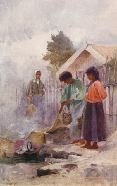 Nuova Zelanda: Cucinare in una sorgente calda da Walter Wright