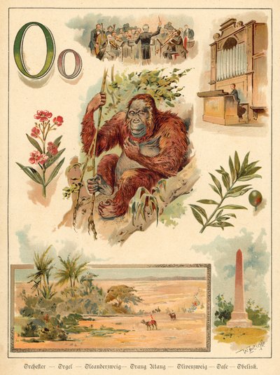 Lettera O da Walter Zweigle