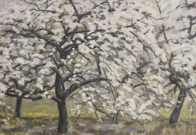 Alberi da frutto in fiore da Walther Gamerith