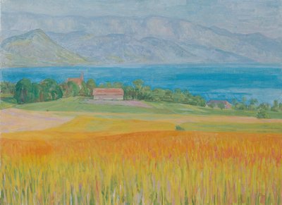 Campo di grano al lago Attersee da Walther Gamerith