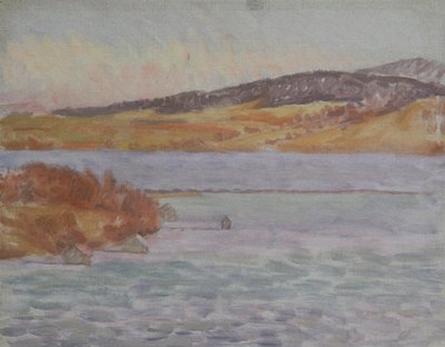Riva del lago da Walther Gamerith