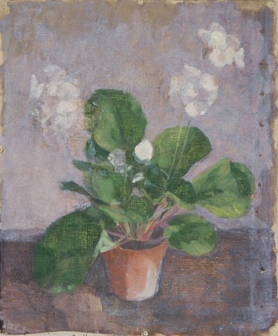 Natura morta con vaso di fiori da Walther Gamerith