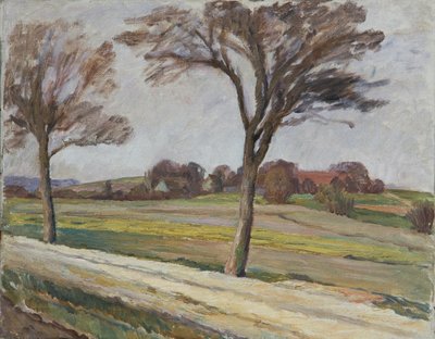 Strada con alberi e fattoria da Walther Gamerith