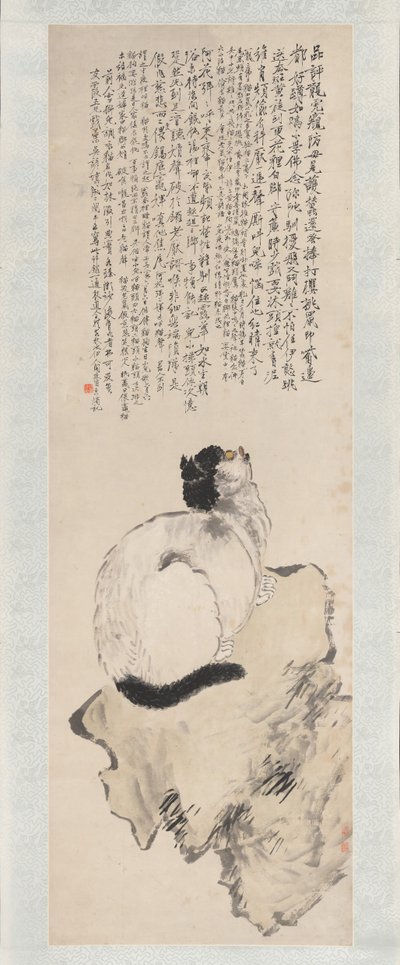 Gatto da Wang Li