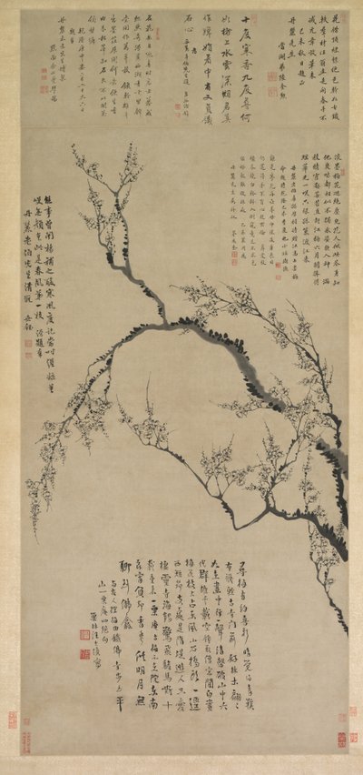 Fiori di Prugno, 1747 da Wang Shishen