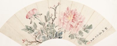 Peonia da Wang Wu