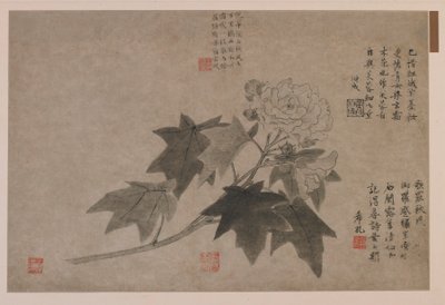 Ibisco, 1347 da Wang Yuan