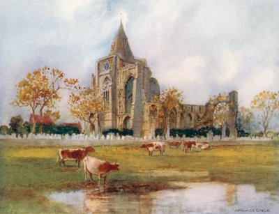  da Warwick (after) Goble