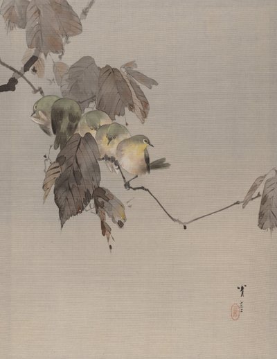 Uccelli su un ramo, ca. 1887 da Watanabe Seitei