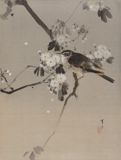 Uccelli su un ramo fiorito, ca. 1887 da Watanabe Seitei