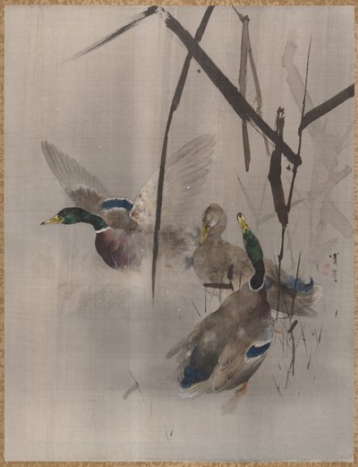 Anatre tra i giunchi, ca. 1887 da Watanabe Seitei