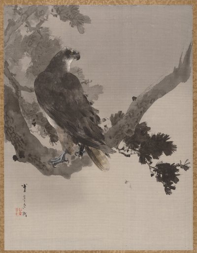 Aquila su un albero, ca. 1887 da Watanabe Seitei