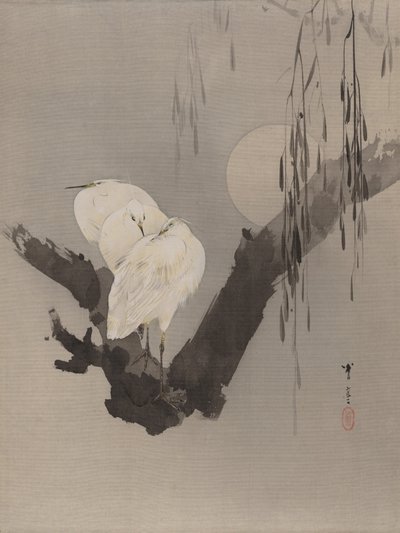 Aironi in un albero di notte, ca. 1887 da Watanabe Seitei