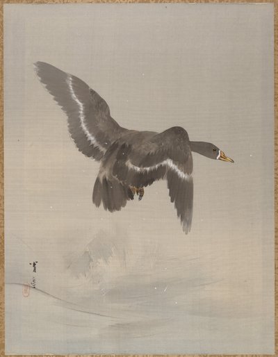 Oca volante, ca. 1887 da Watanabe Seitei