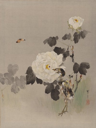 Rose, Uccellino e una Farfalla da Watanabe Seitei