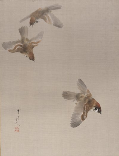 Passeri in Volo da Watanabe Seitei