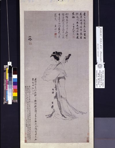 Signora con un liuto da Wei Wu