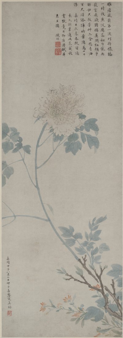 Peonia, rotolo appeso, 1532 da Wen Zhengming