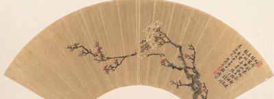 Fiori di prugno, datato 1670 da Wen Zhi