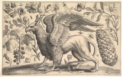 Un grifone, 1625-77 da Wenceslaus Hollar