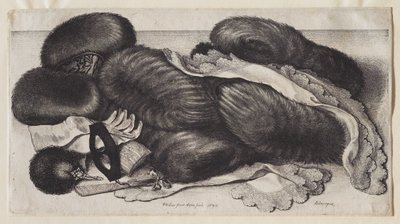  da Wenceslaus Hollar