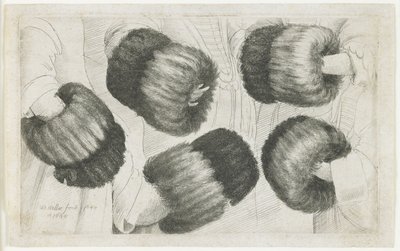 Un manicotto in cinque viste, 1645-1646 da Wenceslaus Hollar