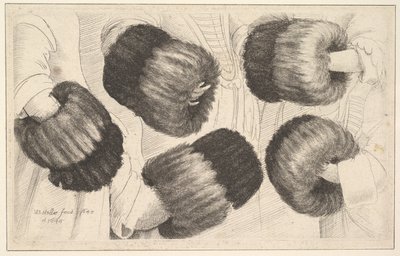 Un manicotto in cinque viste, 1645-46 da Wenceslaus Hollar