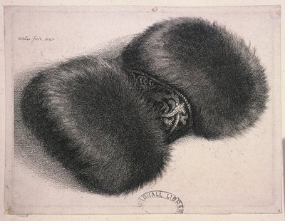 Un grande manicotto con una fascia di broccato, 1647 da Wenceslaus Hollar