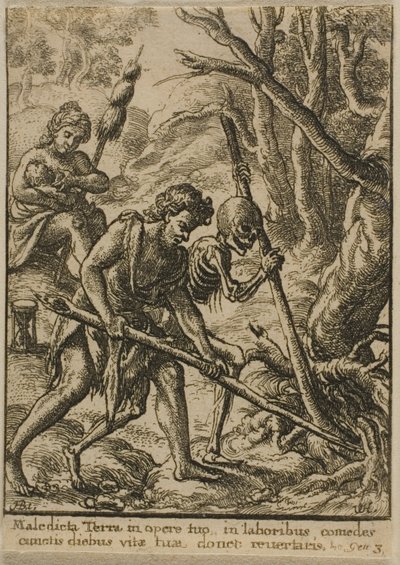 Adamo che ara da Wenceslaus Hollar
