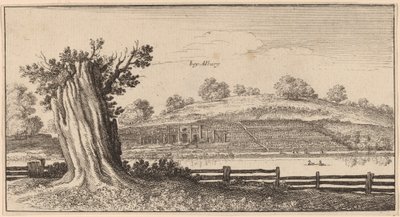 Albury da Wenceslaus Hollar