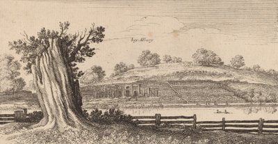 Albury da Wenceslaus Hollar