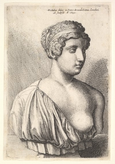 Busto antico di una donna da Wenceslaus Hollar