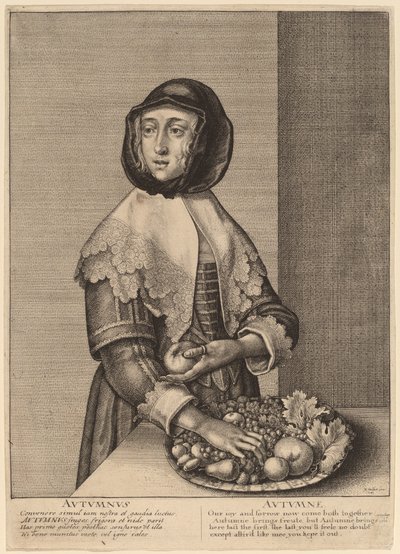 Autunno da Wenceslaus Hollar