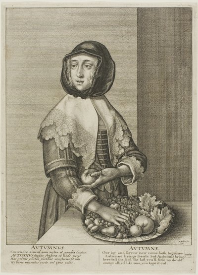 Autunno da Wenceslaus Hollar