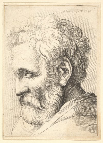 Vecchio barbuto, 1645 da Wenceslaus Hollar