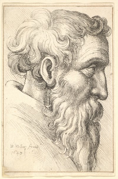 Vecchio barbuto di profilo a destra da Wenceslaus Hollar