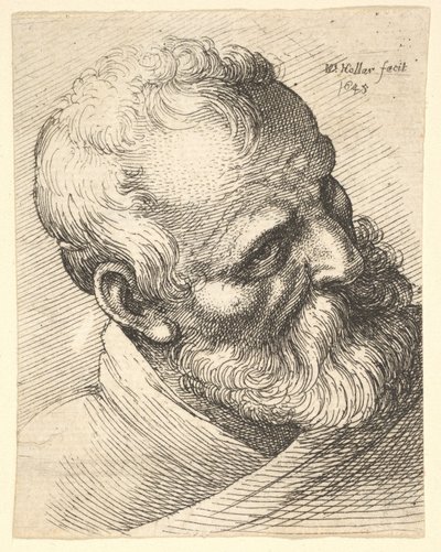 Vecchio barbuto con la testa inclinata da Wenceslaus Hollar