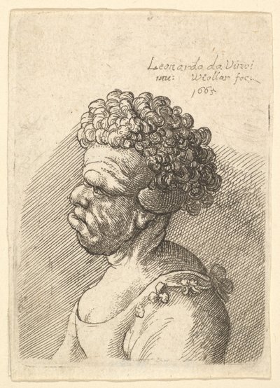 Busto di una Donna Deforme con Capelli Ricci di Profilo a Sinistra da Wenceslaus Hollar